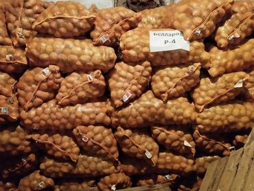 цены на картошку в бишкеке: Картошка Джелли, Оптом