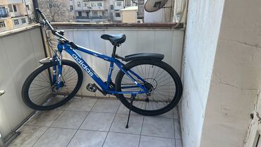 вело: Şəhər velosipedi Adidas, 29"