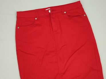 sukienka pikachu: Women`s skirt, size L (EU 40)