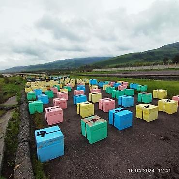 ППУ - пенополиуретан: Полиуретановые ульи для пчеловодства - Материал: литой ППУ — 13