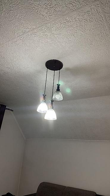 Накопительные водонагреватели: Переноска для животных + электрический водонагреватель (бойлер) 1) — 13