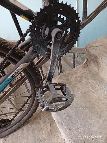 bmx gtr 334: Orginal və keyfiyyətli möhkəm Trinx markasına aid (24 ölçüdə) — 6