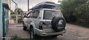 w211 e270: Toyota Land Cruiser Prado: 1998 г., 3.4 л, Автомат, Бензин, Внедорожник — 1