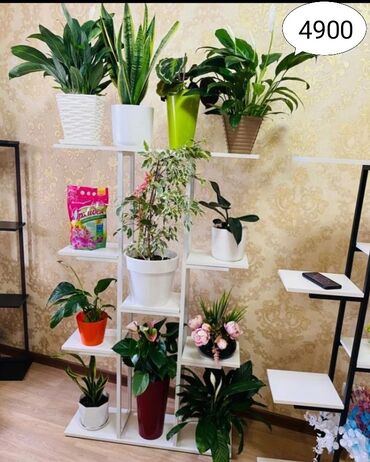 Полки для цветов: Лофт стиле, полка, стеллаж, подставки для цветов для книги, стол — 4