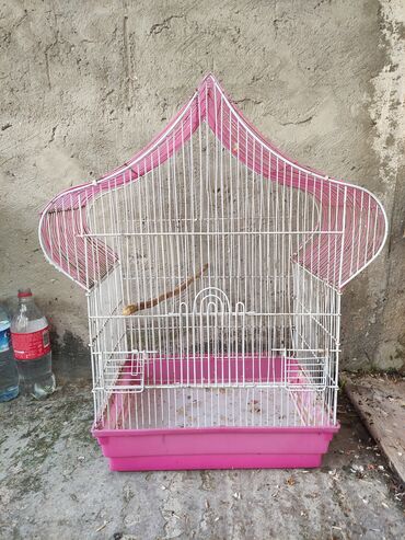 Qəfəslər: Qefesler yumru qirmizi 30 Azn obirler 20-15 Azn — 7