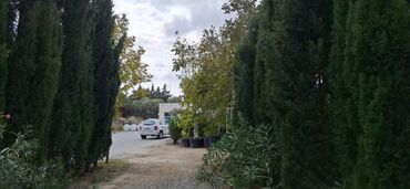 Həyət evləri və villaların satışı: Buzovna 2 otaqlı, 85 kv. m — 13