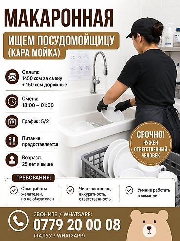 Вакансии: Требуется Посудомойщик, Оплата: Ежедневно — 1