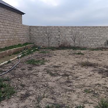 koroğlu: Satılır: həyət evi - Plan: geniş zal, iri mətbəx, sanitar qovşağı — 5