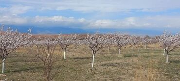 Продажа домов: Дом, 140 м², 7 комнат, Собственник, Евроремонт — 15