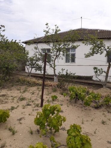 Həyət evləri və villaların satışı: 3 otaqlı, 90 kv. m, Kredit yoxdur, Təmirsiz -da lalafo.az — 23 Həyət evləri və villaların satışı: 3 otaqlı, 90 kv. m, Kredit yoxdur, Təmirsiz — 23