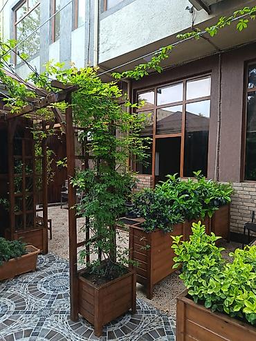 həyət evi qaracuxur: BADAMDARDA NÖQTƏSİNƏ QƏDƏR HAZIR — PREMİUM RESTORAN VƏ LOUNGE — 8