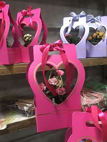 Подарочная упаковка: Подарочные композиции в коробке-сумке - Живые комнатные — 9