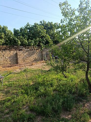 maştağa: Sabunçu r-nu, Maştağa qəsəbəsində, 186N marşrutun yolundan 50–60 m — 4