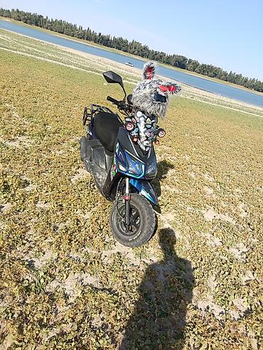 Скутеры: Тип скутера 160 куб. см, Бензин, Б/у — 8