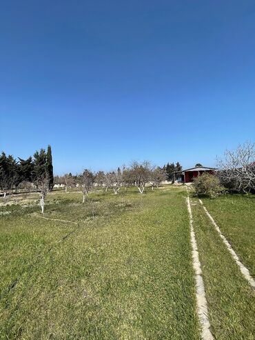 Bağ evlərinin kirayəsi: 400 kv. m, 5 otaqlı, Hovuzlu, Kanalizasiya, Kombi, Qaz — 25