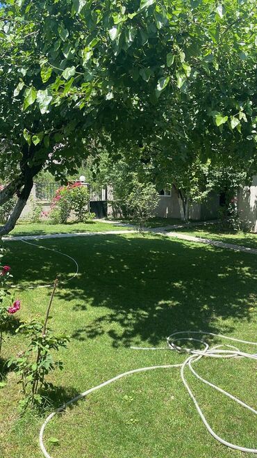 Günlük kirayə evlər: 150 kv. m, 2 otaqlı, Su, Qaz, İnternet -da lalafo.az — 2 Günlük kirayə evlər: 150 kv. m, 2 otaqlı, Su, Qaz, İnternet — 2