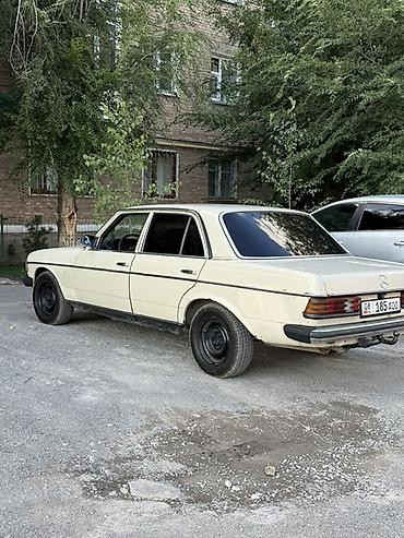 devo matiz: Mercedes-Benz W123: 1982 г., 2 л, Механика, Дизель, Седан — 1
