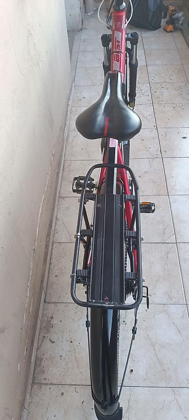 isma taurus: Yeni Şəhər velosipedi Aist, 29", sürətlərin sayı: 24, Ödənişli çatdırılma — 7