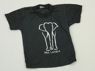 koszulka pitbull czarna: Koszulka, 9-12 m, stan - Zadowalający