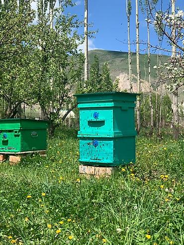 🍯 Натуральный мёд от пасечника Продаю мёд с собственной пасеки