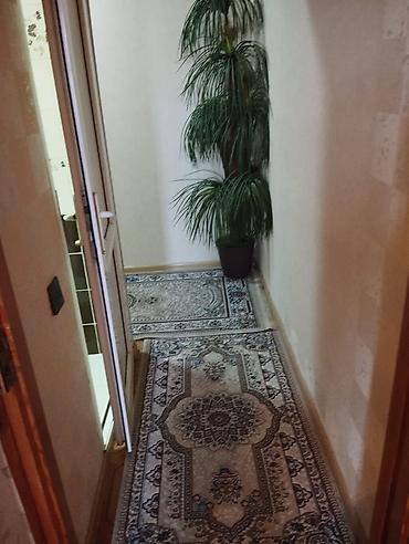 Mənzillərin satışı: Bakı, Yeni Yasamal, 2 otaqlı, Köhnə tikili, m. 20 Yanvar, 30 kv. m — 6