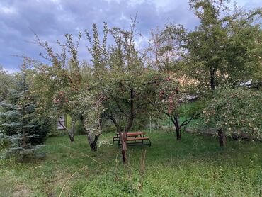 Продажа домов: Дача, 1 м², 1 комната, Собственник, Косметический ремонт — 7