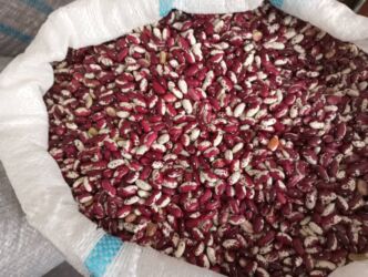 столик для фруктов: Фасол сатылат скороспелка кг 200