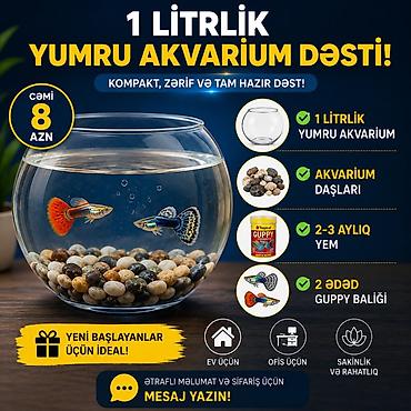 inek yemleri: Yumru akvarium, Balıqlarla birlikdə, 1 l, Ünvandan götürmə, Ödənişli çatdırılma — 1