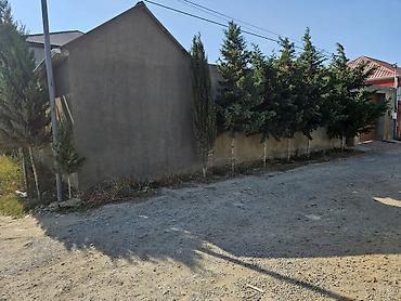 sumqayıt ev alqı satqısı 2018: Həyətyanı ev sahəsi - Tamamilə hasarlanmış, məxfilik təmin edən — 4
