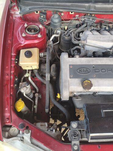 Kia: Kia Sephia: 1.6 l | 1998 il Sedan — 10