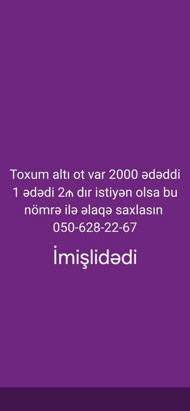 Çöl bitkiləri: Toxum altı var imişlidədi