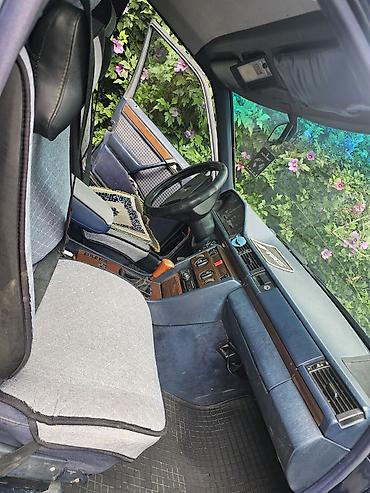 морда 210: Mercedes-Benz W124: 1990 г., 2 л, Механика, Бензин, Седан — 5