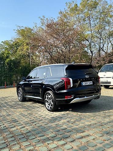 Hyundai: Hyundai Palisade: 2020 г., Бензин, Кроссовер — 17