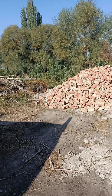 синий лук: Кирпич красный пустотелый (перфорация 3–6 отверстий), навалом — 1