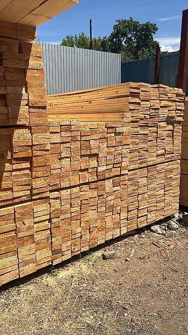 Доски: Лес — 10