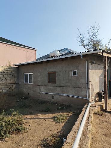 kirayə otaqlar: 1 otaqlı, 300 kv. m — 1