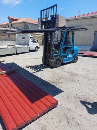 Çerepitsa: Metal dam örtükləri — 12