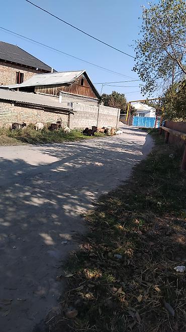 Уборка территории: Уборка территории, Стрижка газона — 5
