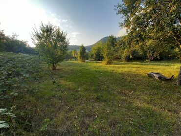 Torpaq sahələrinin satışı: 10 sot, Tikinti, Mülkiyyətçi, Kupça (Çıxarış) — 3