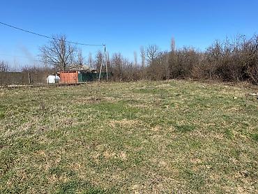 Torpaq sahələrinin satışı: Kənd təsərrüfatı — 10