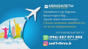 туры в европу из бишкека: Баардык багыттарга ыңгайлуу баадагы АВИАБИЛЕТТЕР Билет заказ кылуу