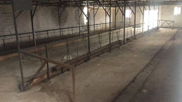 Torpaq sahələrinin satışı: 48 sot, Kənd təsərrüfatı, Makler, Kupça (Çıxarış) — 20