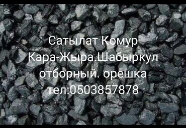 кок жар ж м: ЖЕТКИРУУ БАР ТАЛАСТЫН БАРДЫК АЙМАГЫНА
