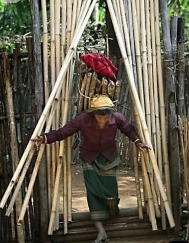 Бамбук: Натуральные тростниковые/бамбуковые палки (камышовые стебли) в — 10