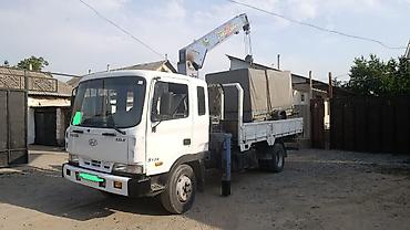 декоративный газон на стену: Автокран, Hyundai, 2002 г. — 1