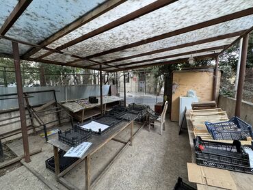 kirayə evlər 8 ci mikrorayon: 7-ci mikrorayonda,Azadlıq metrosunun yanı,Faxralı xəngəl evinin