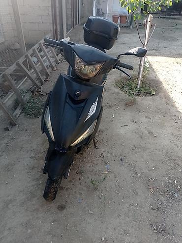 sukutur motor: Moon brand - 49, 50 sm3, 2020 il — 1