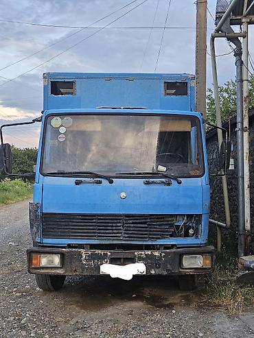 yan güzgülər s: Mercedes-Benz 809, 1992 il, motor 0.4 l, Furqon, İşlənmiş — 1