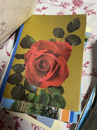 Numizmatika i filatelija: Stare razglednice 268 kom U odličnom stanju razglednice.  133 kom — 4