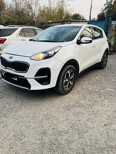 bad ass: Kia Sportage: 2019 г., 1.6 л, Автомат, Дизель, Кроссовер — 4